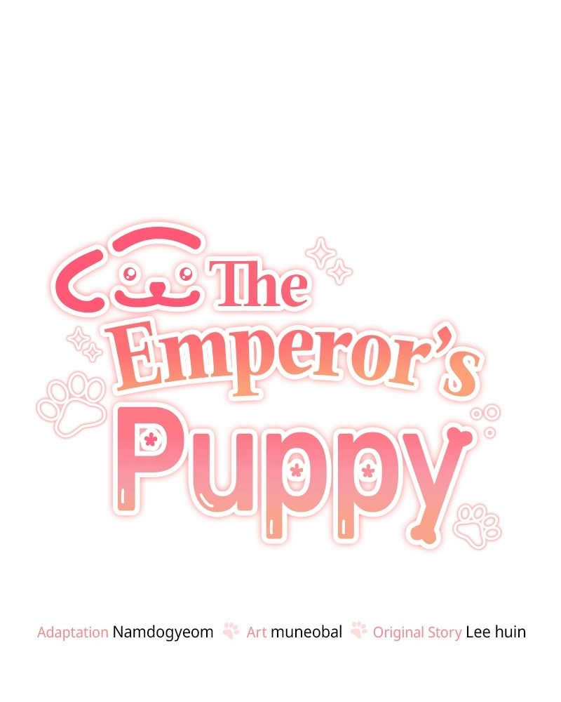 Read The Emperor