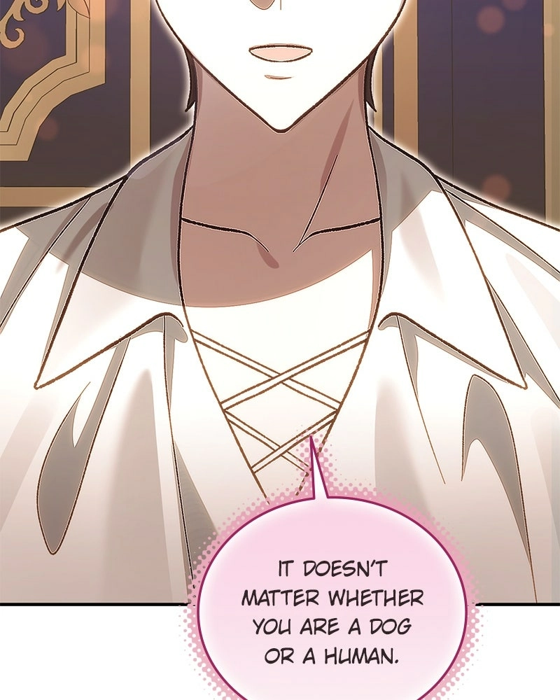 Read The Emperor