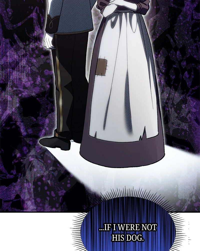 Read The Emperor