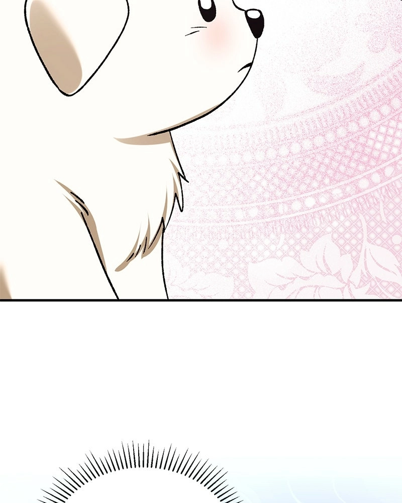 Read The Emperor