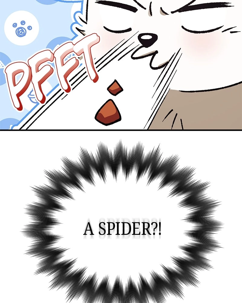 Read The Emperor