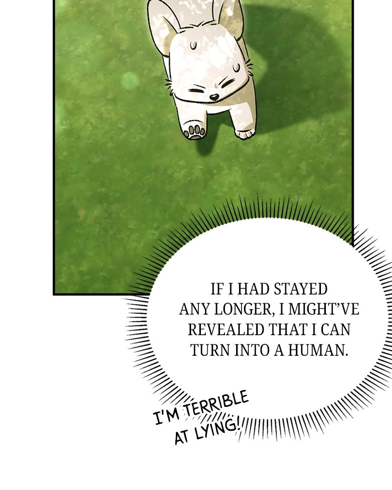 Read The Emperor