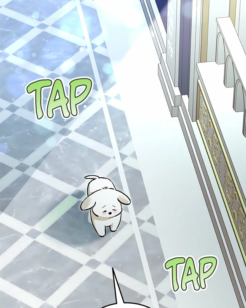 Read The Emperor