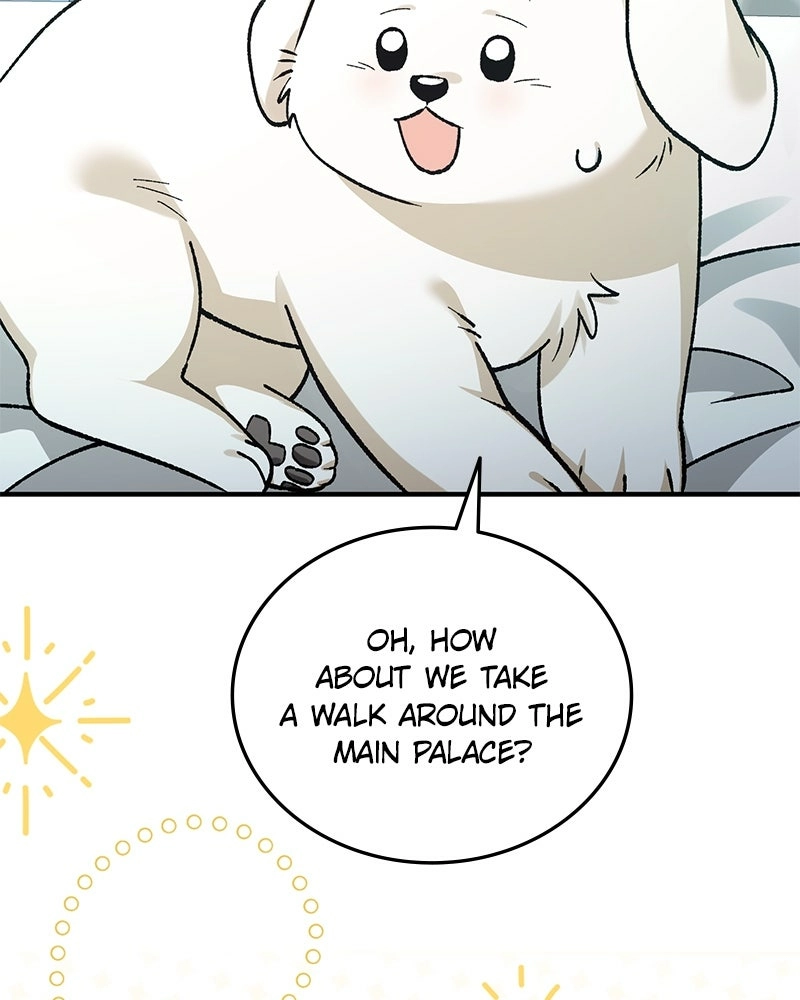 Read The Emperor