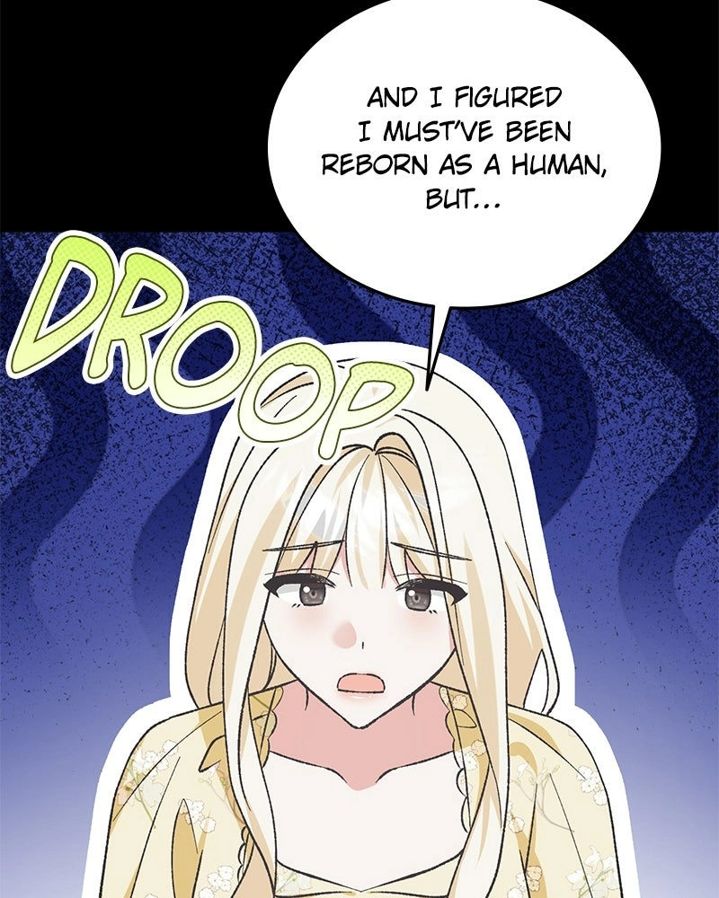 Read The Emperor