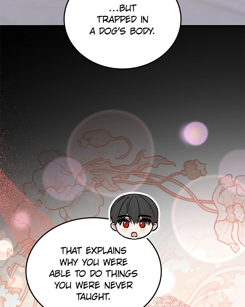 Read The Emperor