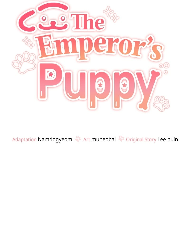 Read The Emperor