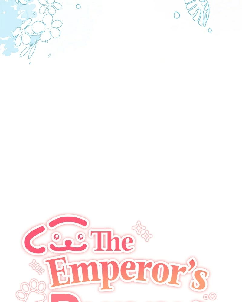 Read The Emperor