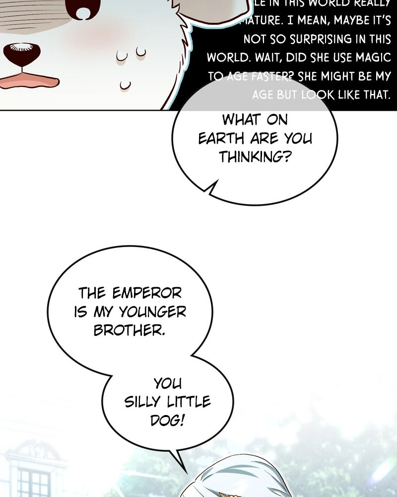 Read The Emperor