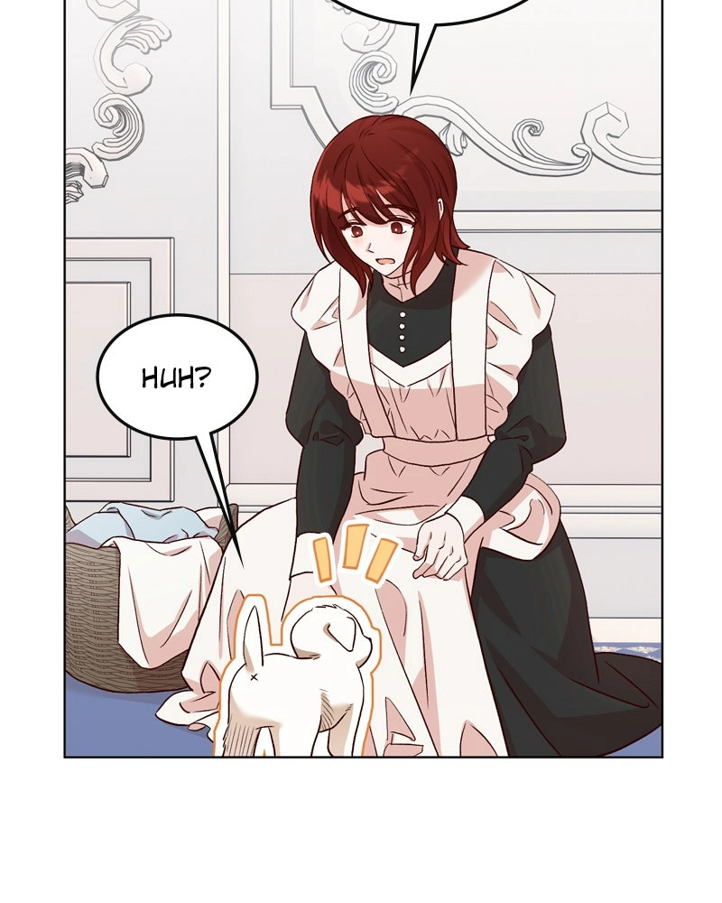 Read The Emperor