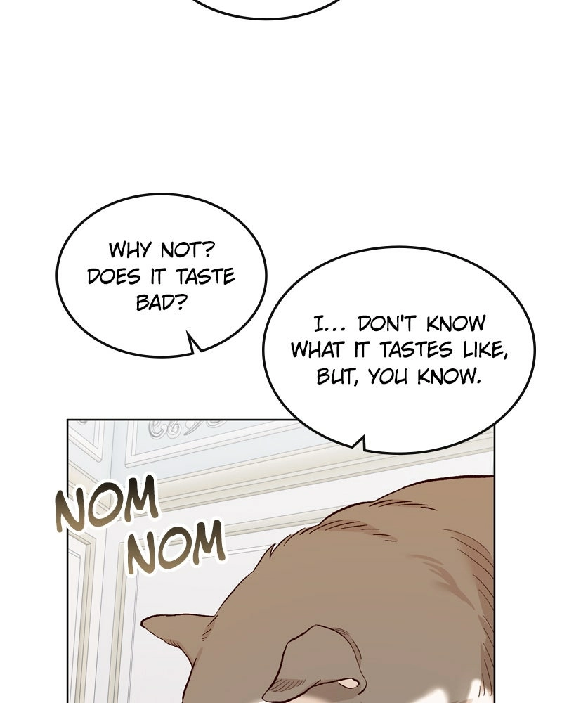 Read The Emperor