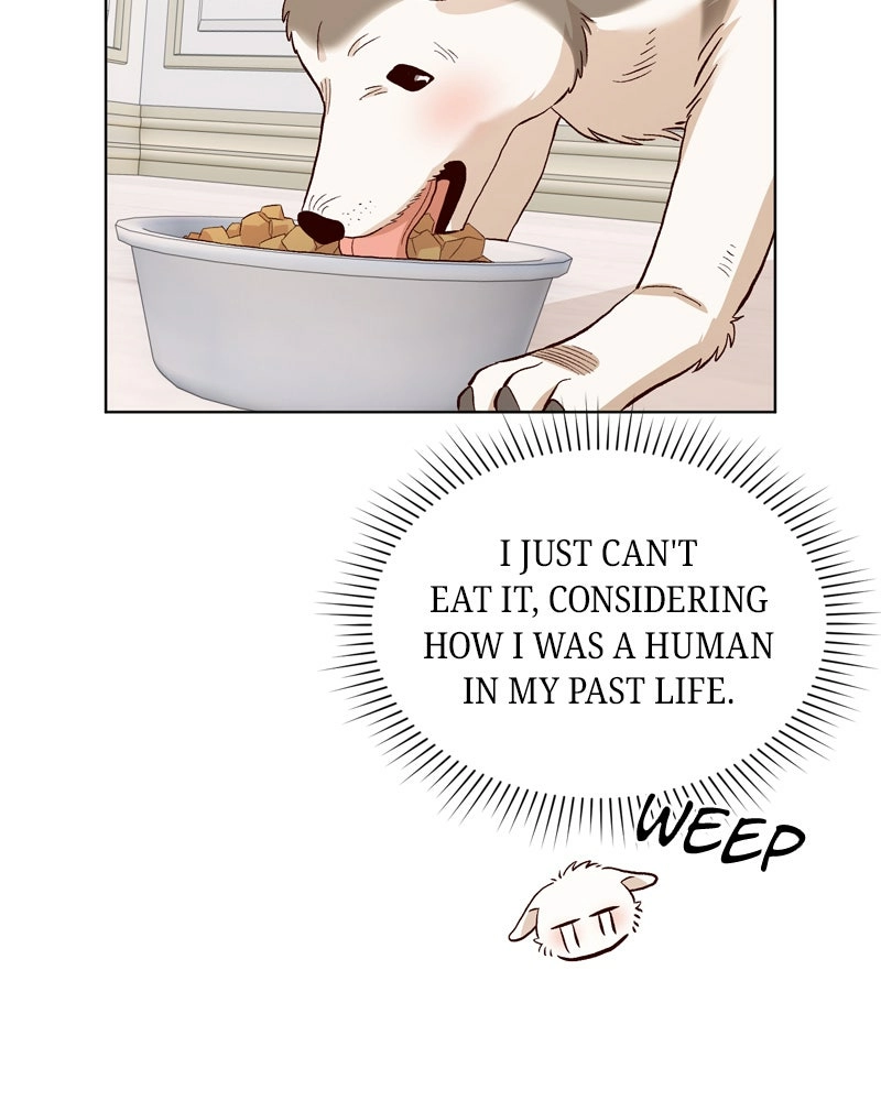 Read The Emperor