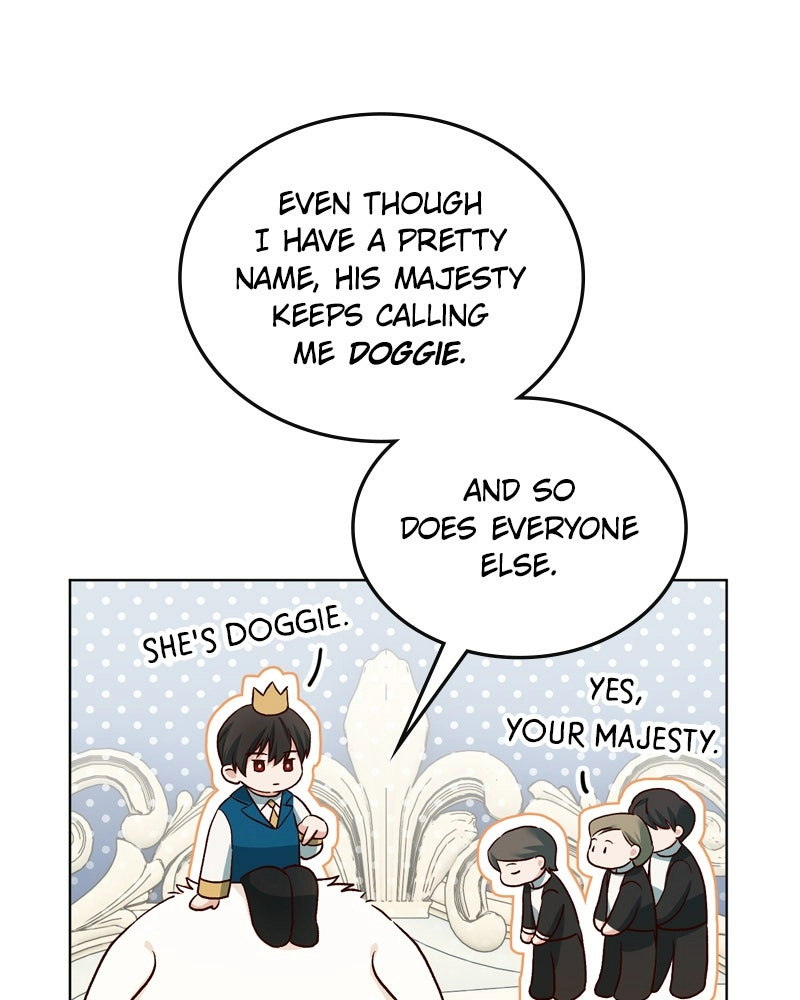 Read The Emperor