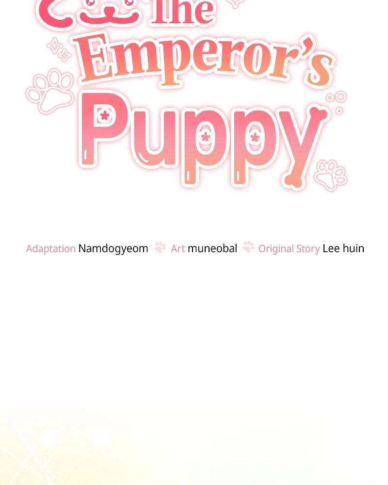 Read The Emperor