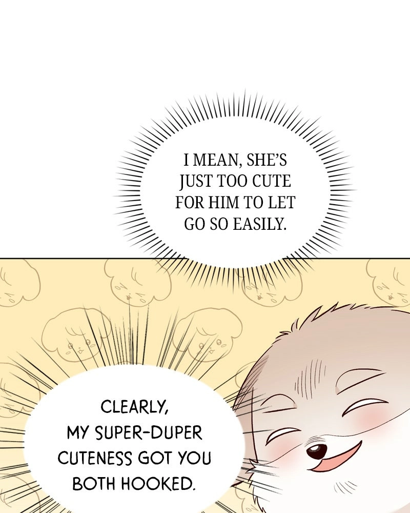 Read The Emperor