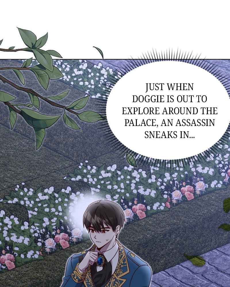 Read The Emperor