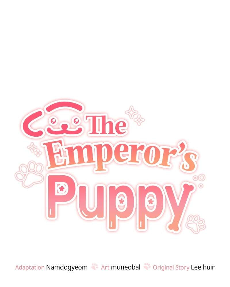 Read The Emperor