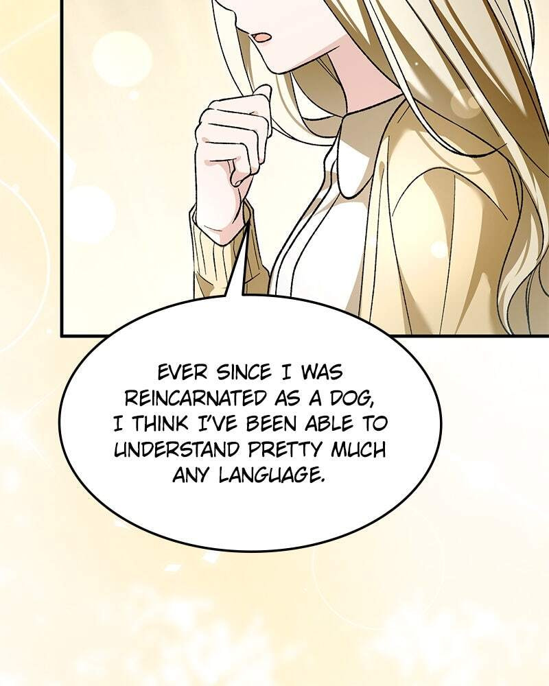 Read The Emperor