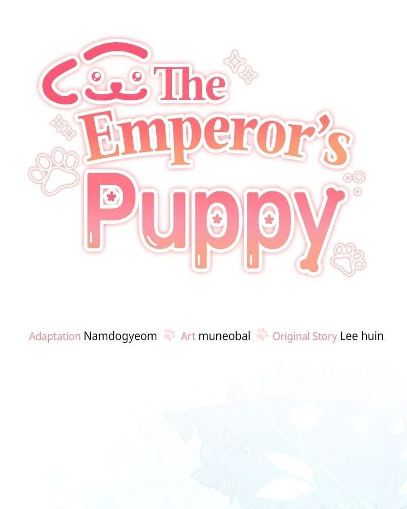 Read The Emperor
