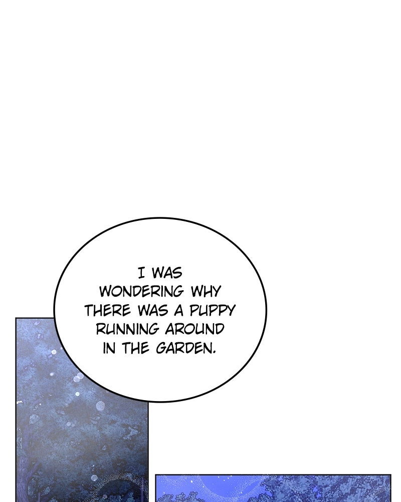 Read The Emperor