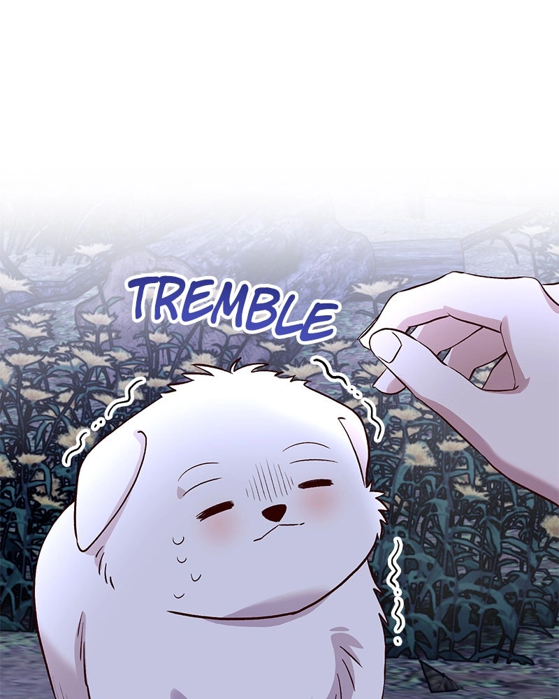 Read The Emperor
