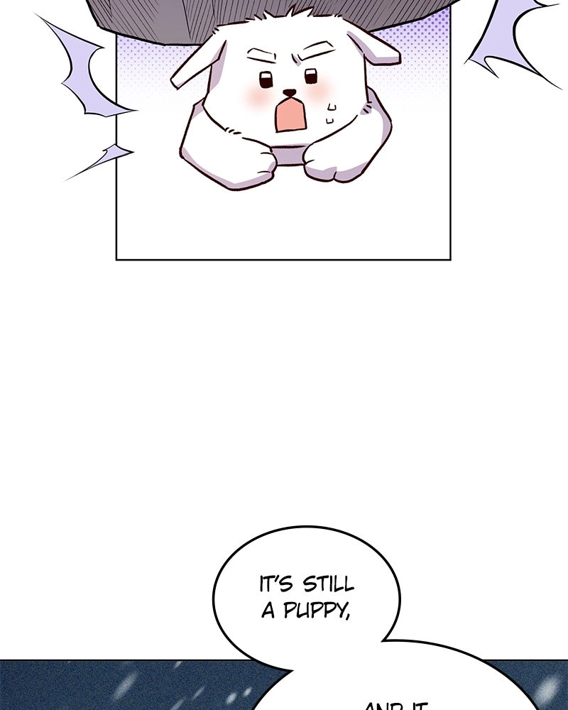 Read The Emperor