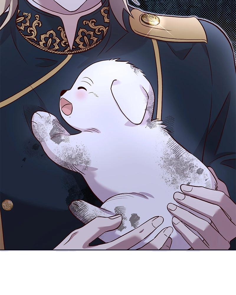 Read The Emperor