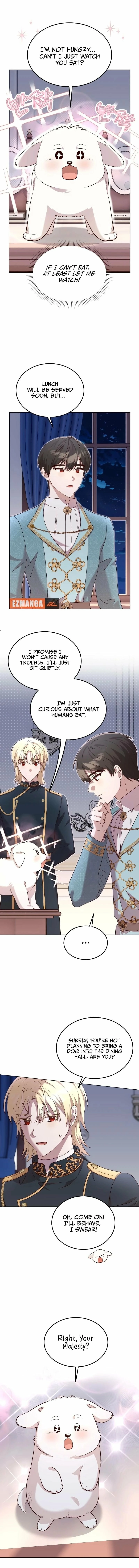 Read The Emperor