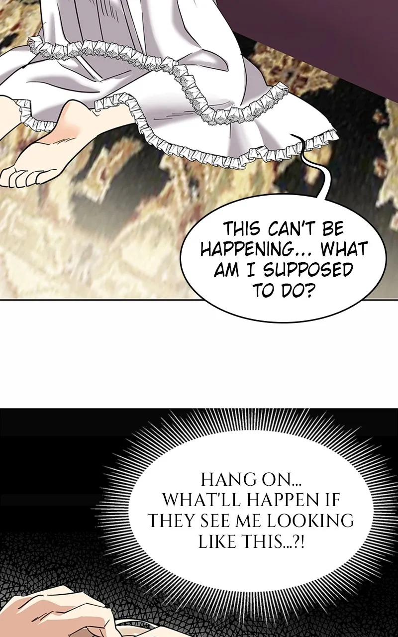 Read The Empress