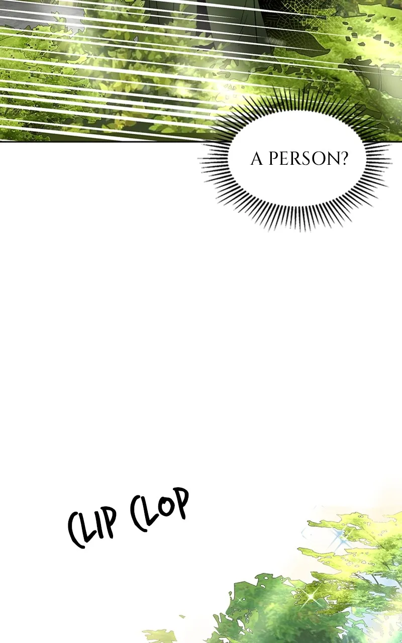 Read The Empress