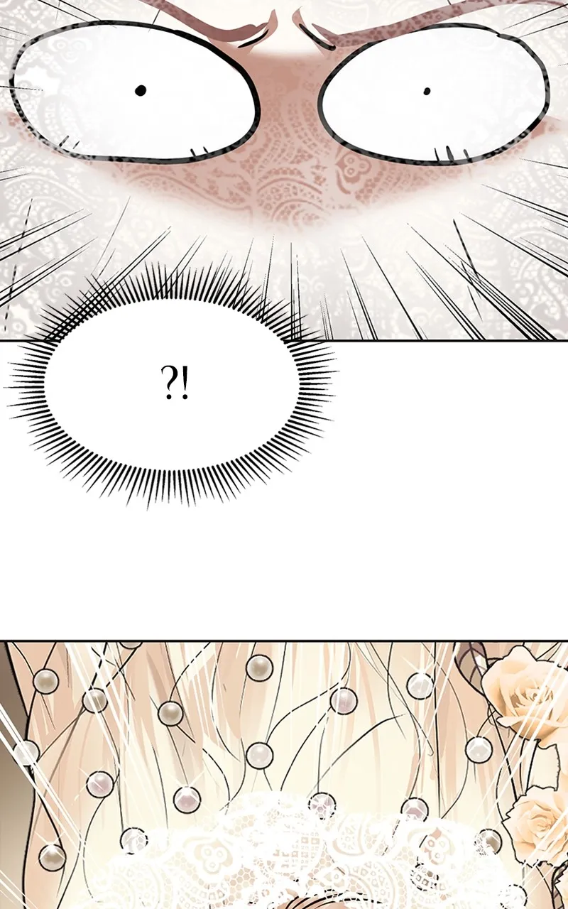 Read The Empress