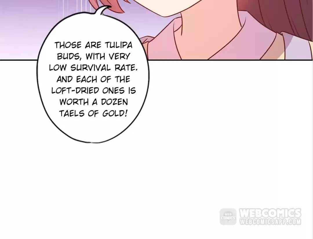 The Empress' Poor-quality Special Effects Chapter 172 page 17 - 