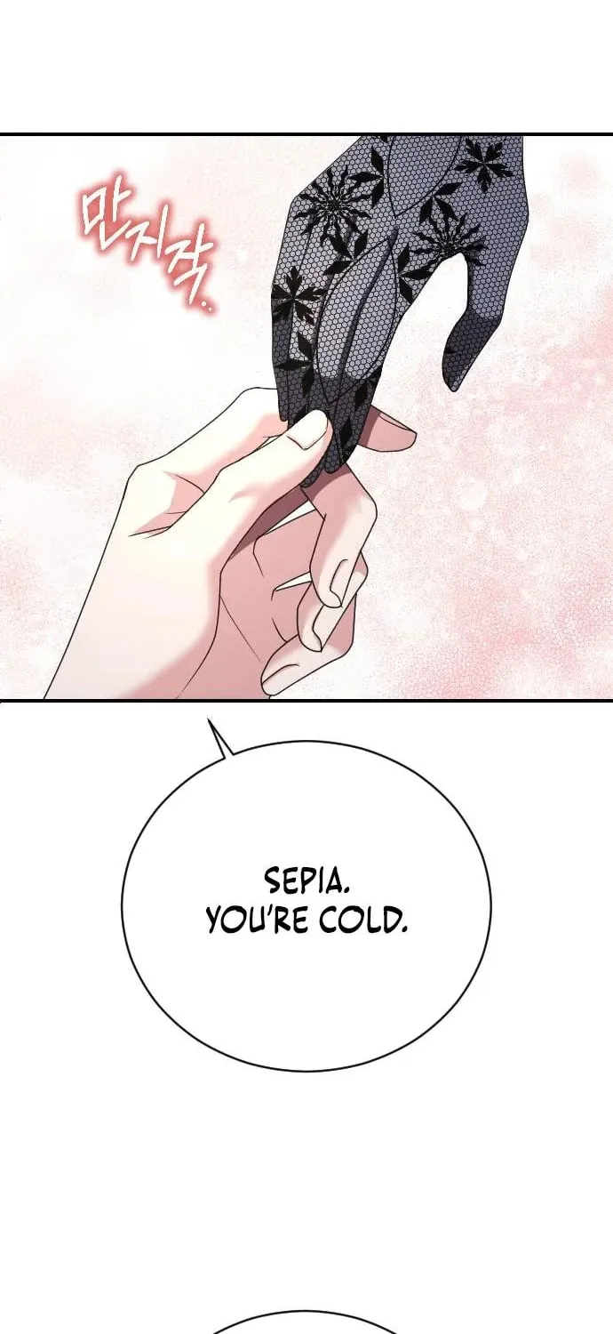 Read The Empress