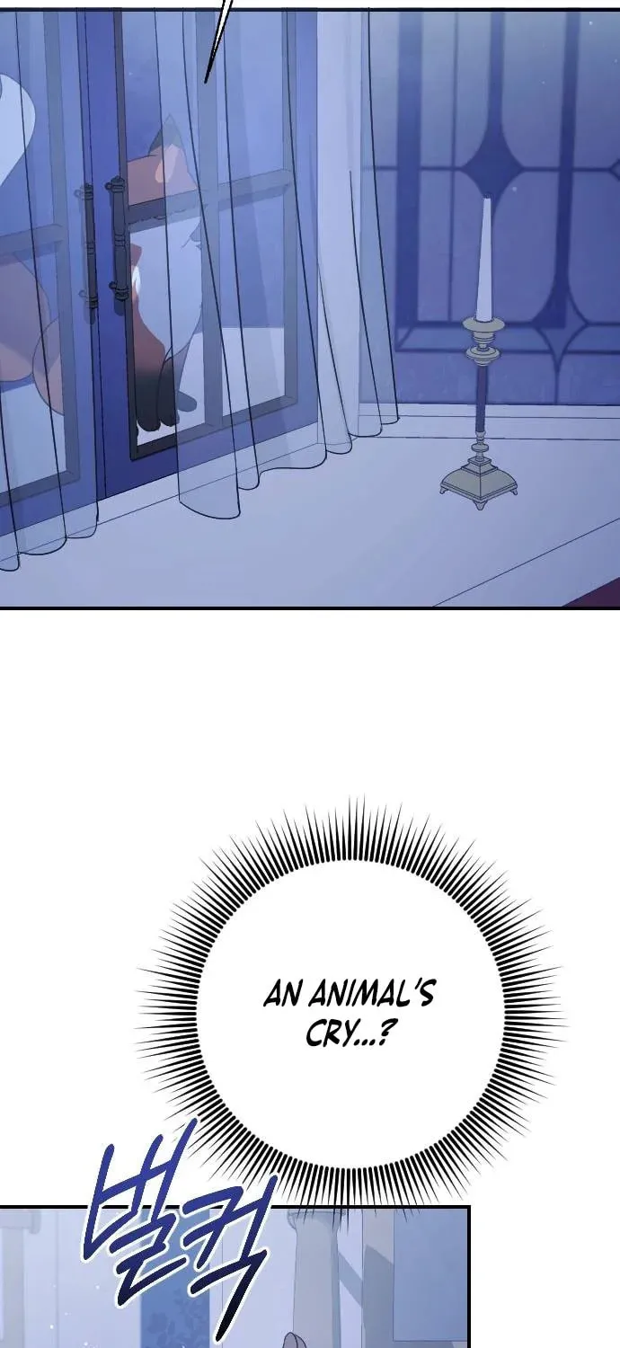Read The Empress