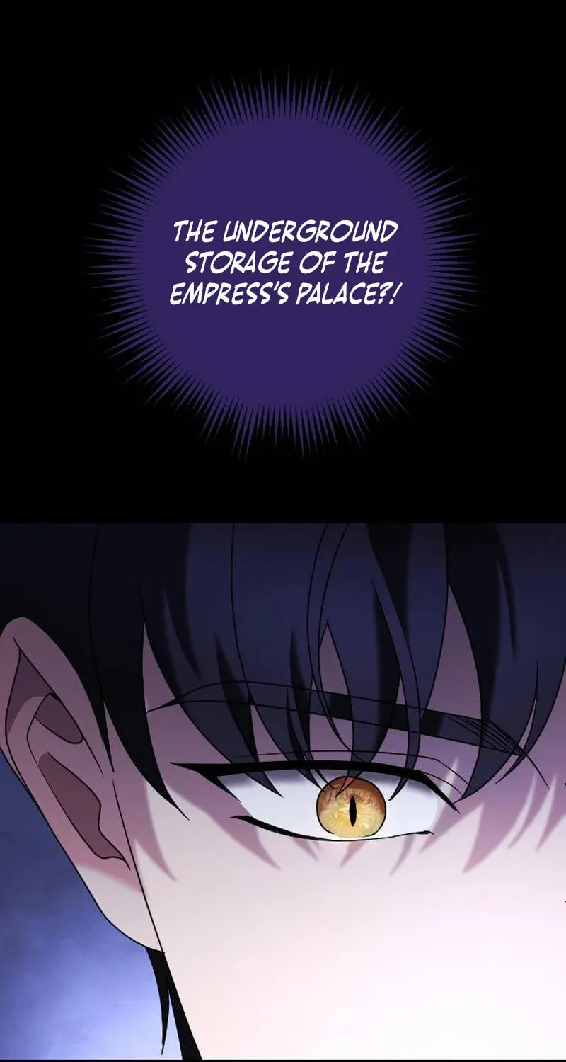 Read The Empress
