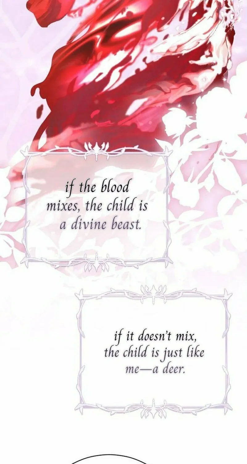 Read The Empress