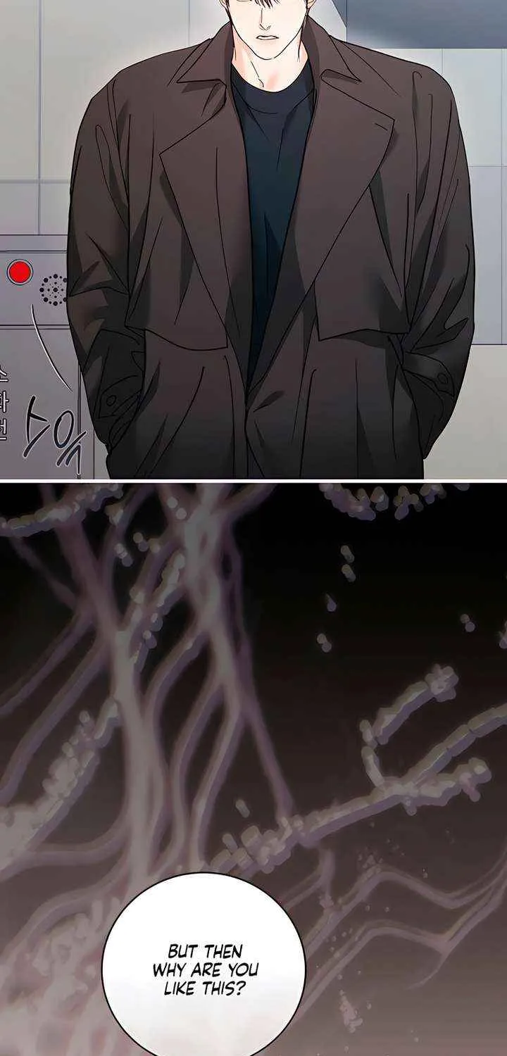 Read The End in the Fall chapter 33 image 48 on Lezhin