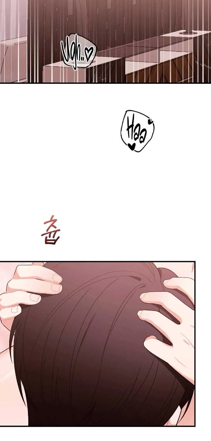 The End of The Marriage Chapter 1 page 35 - 