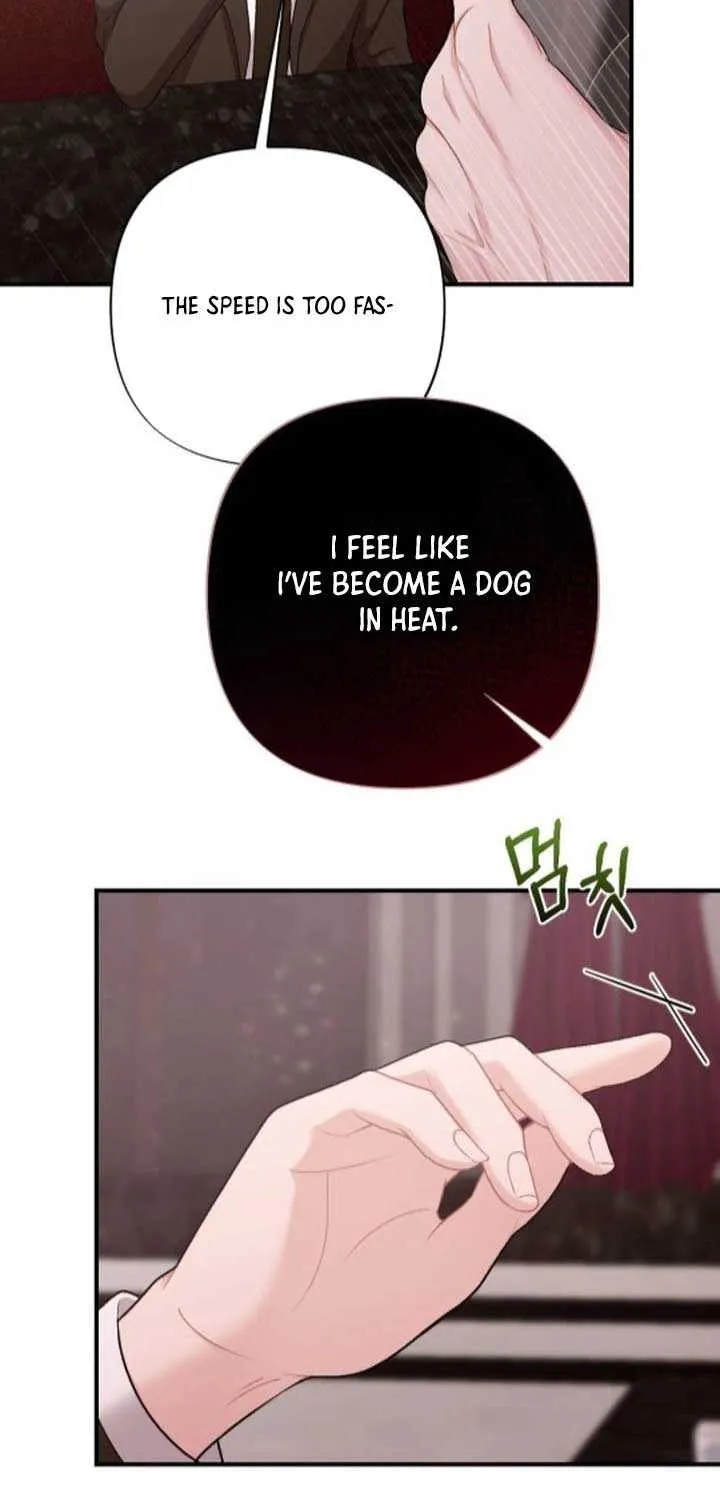The End of The Marriage Chapter 19 page 67 - 