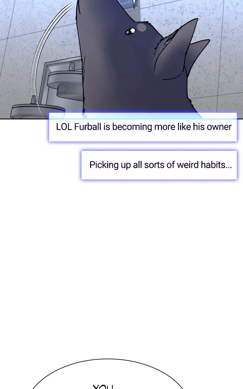The End Of World Is A Game Chapter 65 page 62 - 