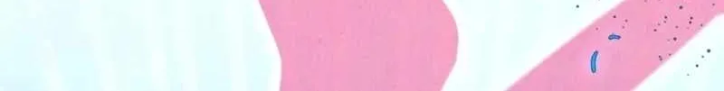 Read The Eternal Supreme chapter 286 image 92 on Lezhin