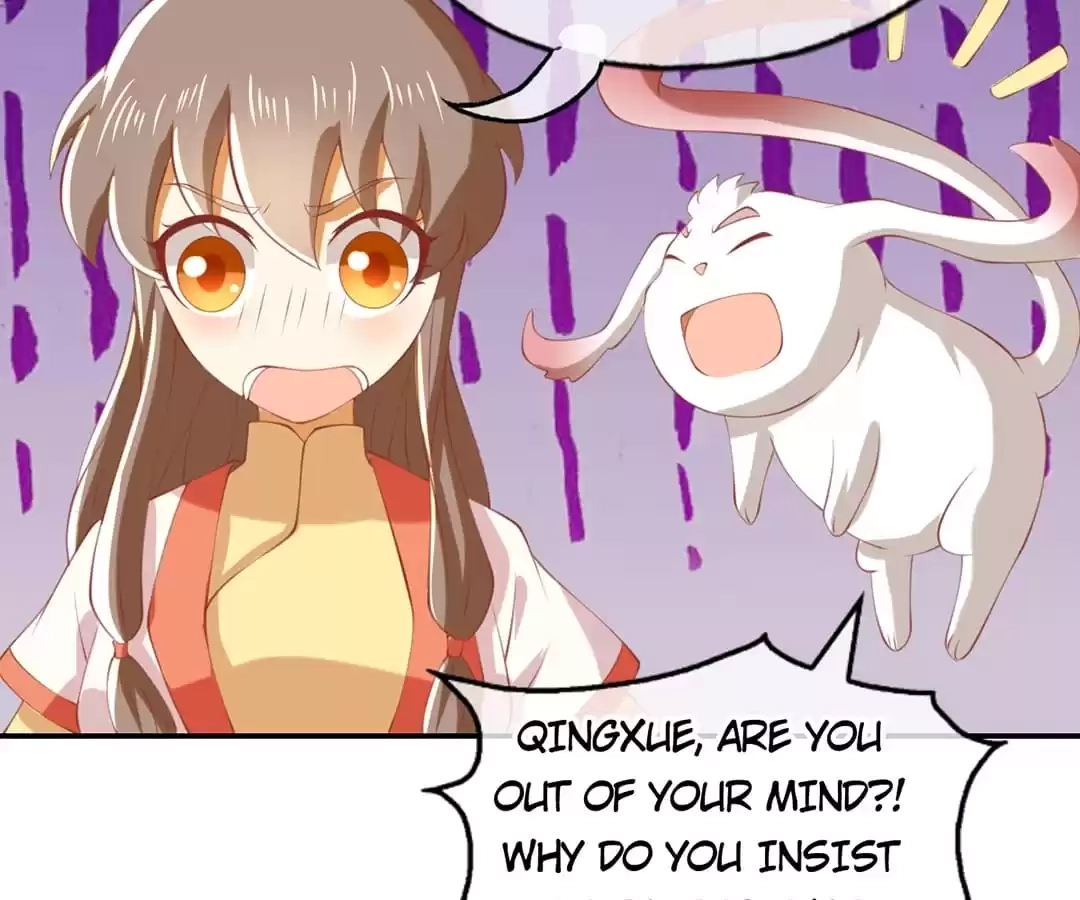 The Evil King's Wicked Consort Chapter 145 page 63 - 