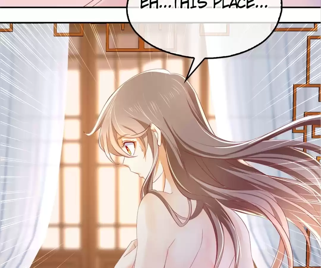 The Evil King's Wicked Consort Chapter 19 page 72 - 