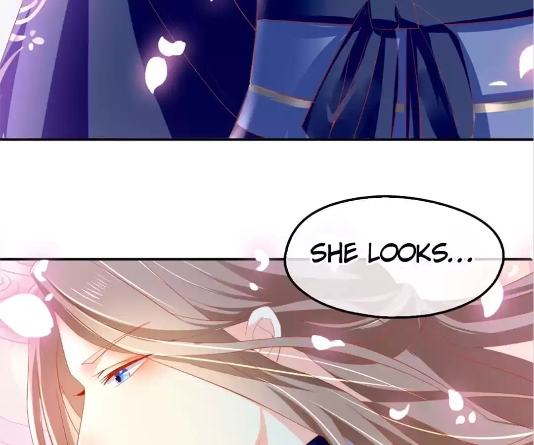 The Evil King's Wicked Consort Chapter 31 page 41 - 