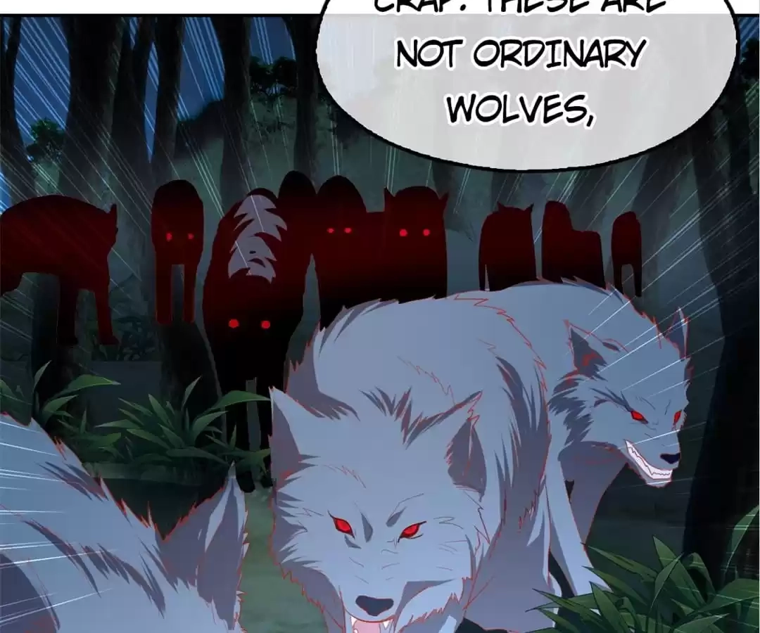 The Evil King's Wicked Consort Chapter 33 page 25 - 