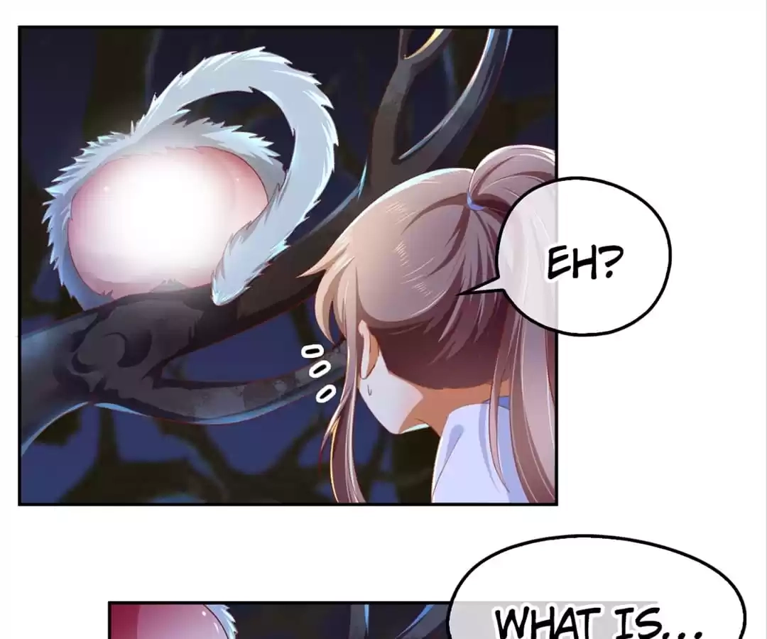 The Evil King's Wicked Consort Chapter 45 page 10 - 