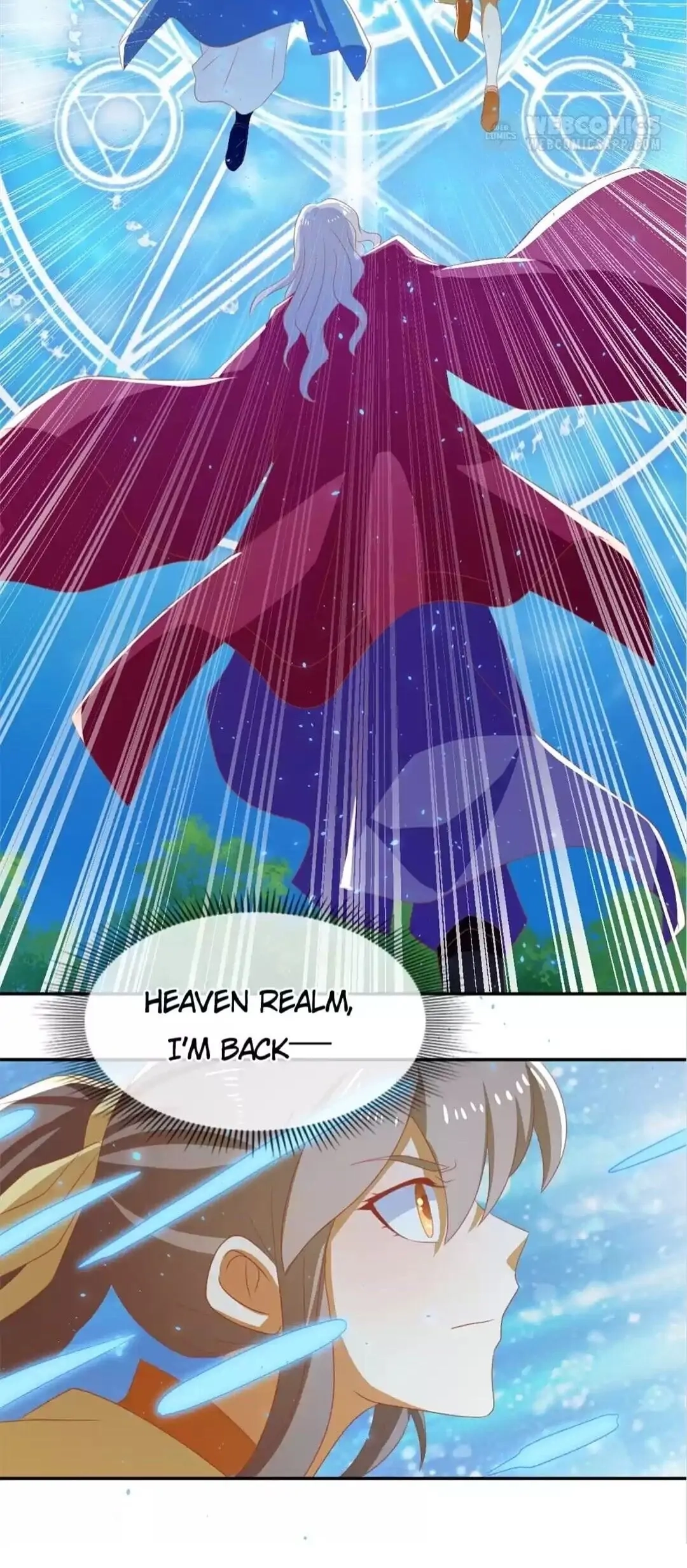 The Evil King's Wicked Consort Chapter 77 page 24 - 