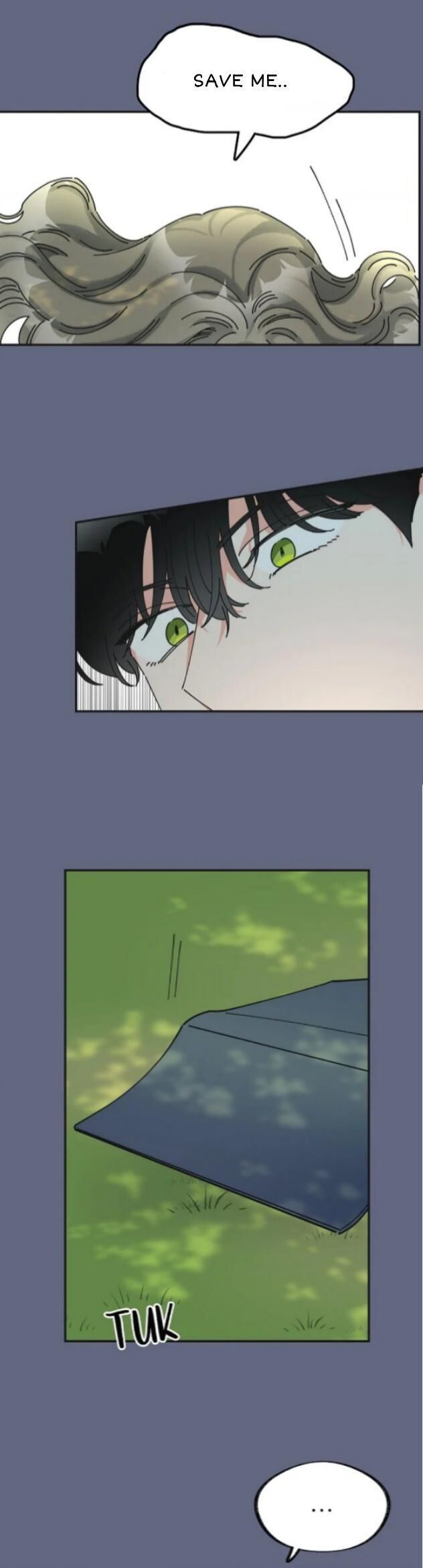 Read The Evil Lady