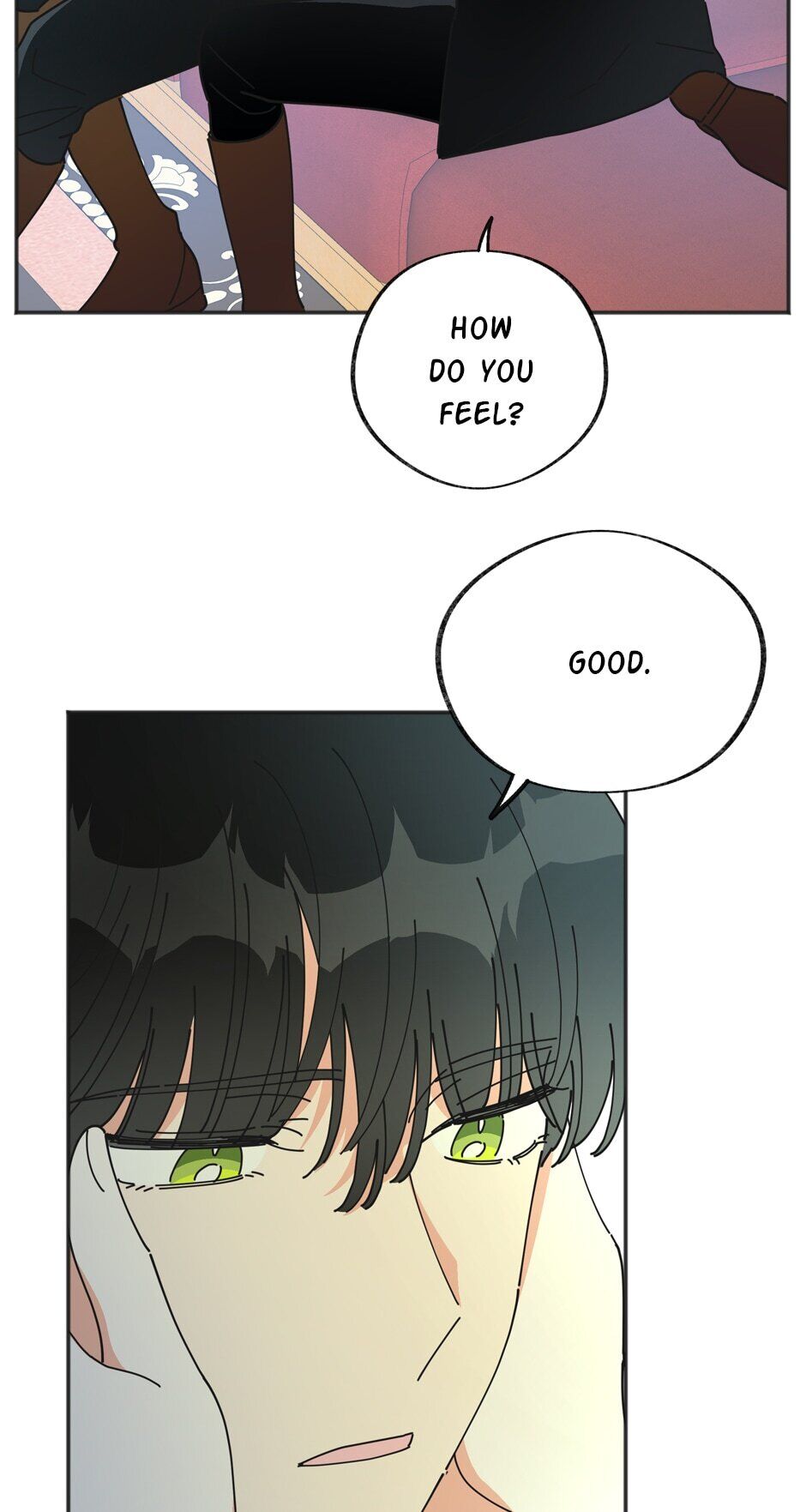 Read The Evil Lady