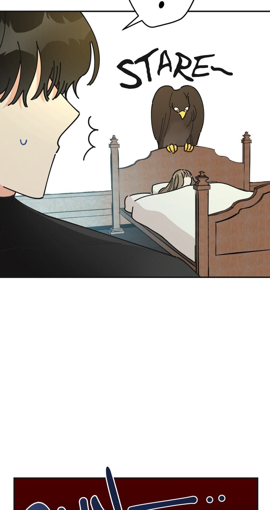 Read The Evil Lady
